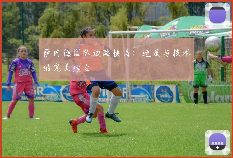 萨内德国队边路快马：速度与技术的完美结合